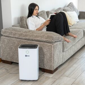 Deshumidificador Seklou® con compresor 105 mts cúbicos Absorbe humedad - Imagen 3